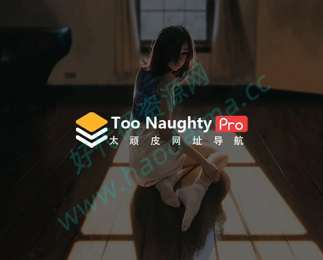太顽皮导航WordPress博客网站源码模板+聚合式搜索框+响应式设计-源码资源网