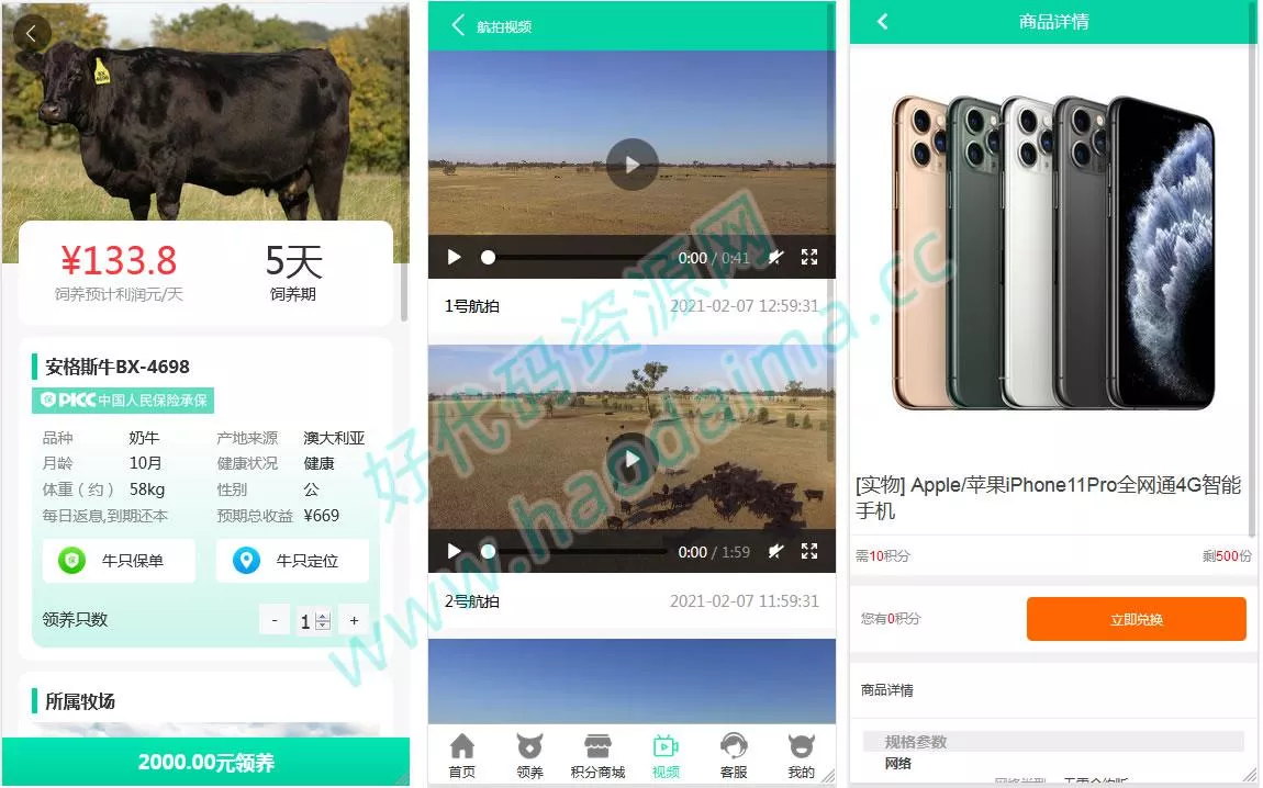 区块链金融理财源码【互联网畜牧业养牛平台】带积分商城+抽奖+会员特权（有搭建教程）