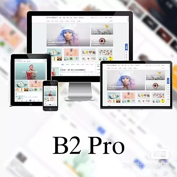 WordPress B2 Pro 主题5.2.0最新开心版,附带官方包体与授权文件-源码资源网