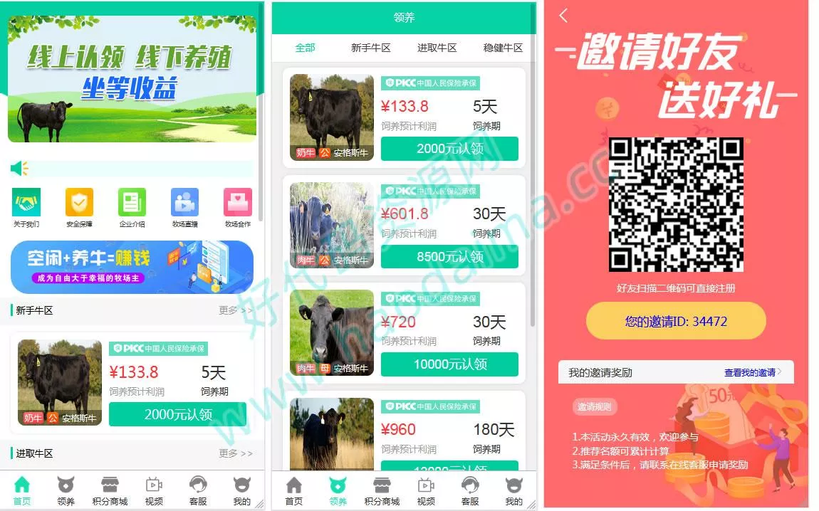 区块链金融理财源码【互联网畜牧业养牛平台】带积分商城+抽奖+会员特权（有搭建教程）