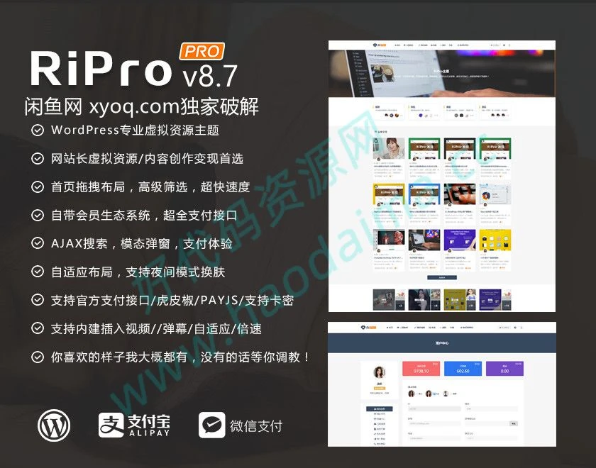 ripro8.7免扩展破解版，含多个子主题包