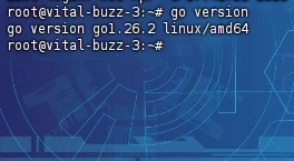 debian安装golang-源码资源网
