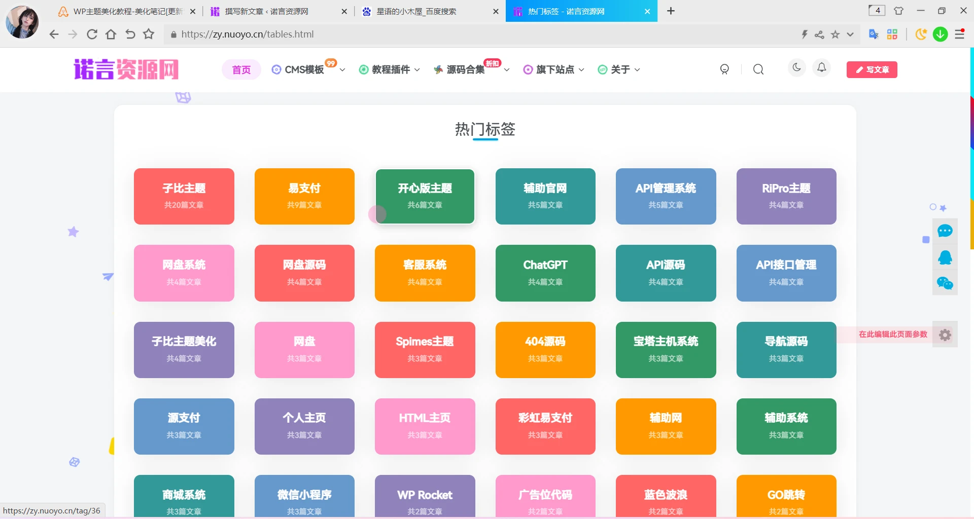 Zibll主题添加热门标签页面-源码资源网
