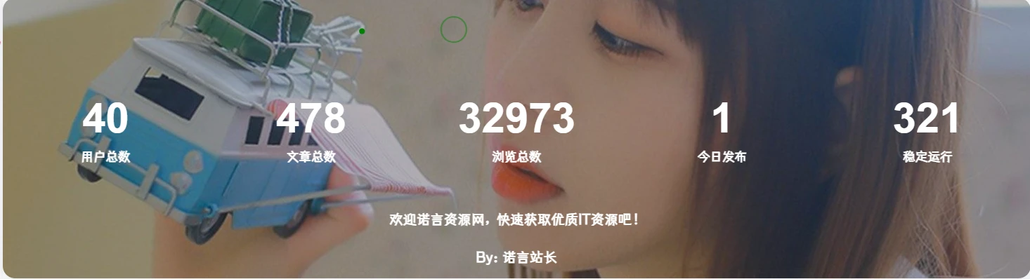 子比主题添加底部统计信息模块小工具-源码资源网